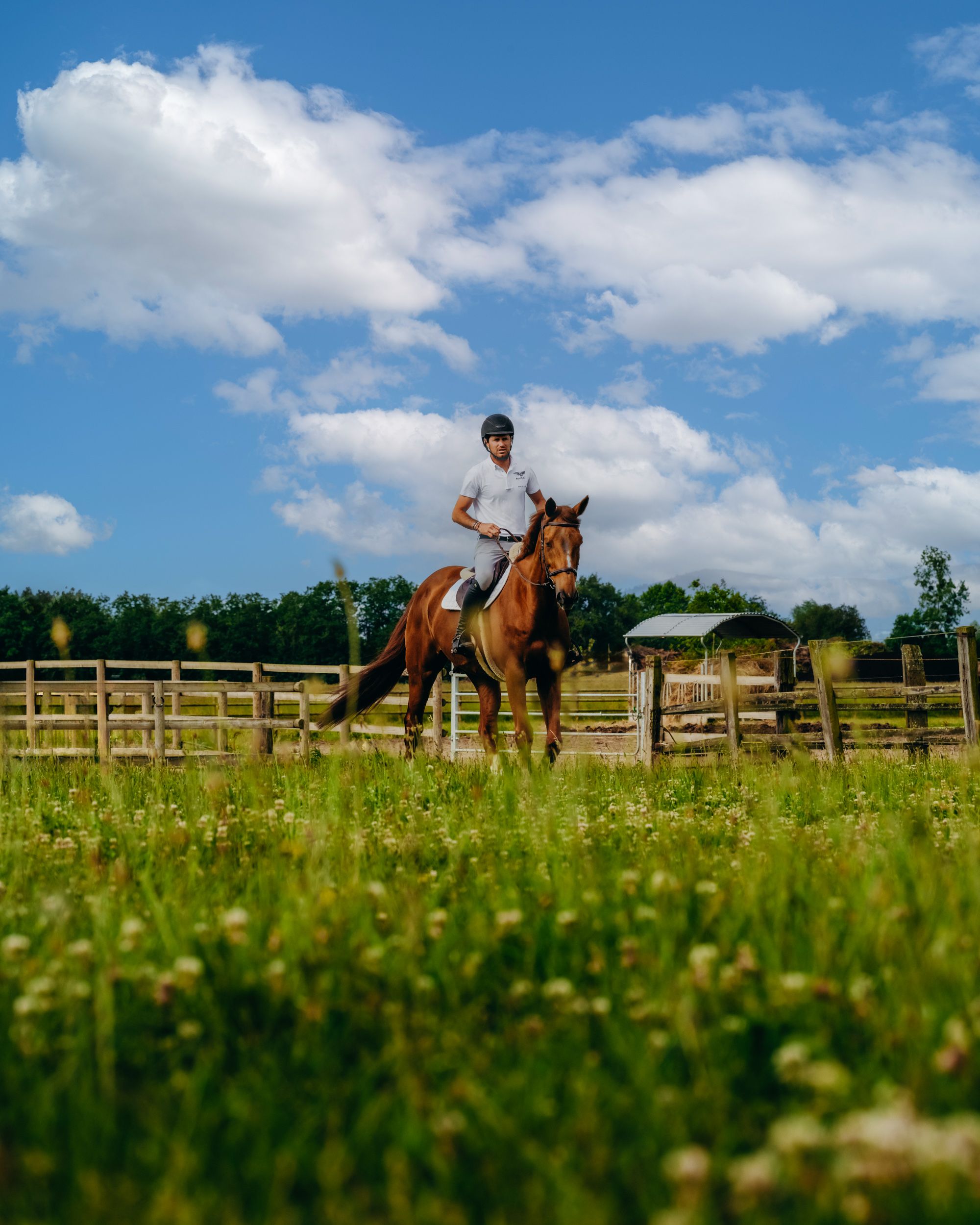 Un cavalier et son cheval au travail, dans un pré sous un ciel d'été