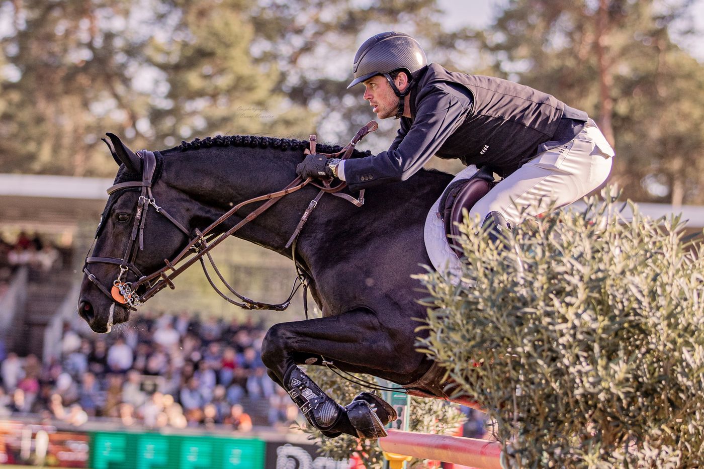 Un cavalier et son cheval noir au-dessus d'un obstacle, devant les tribunes