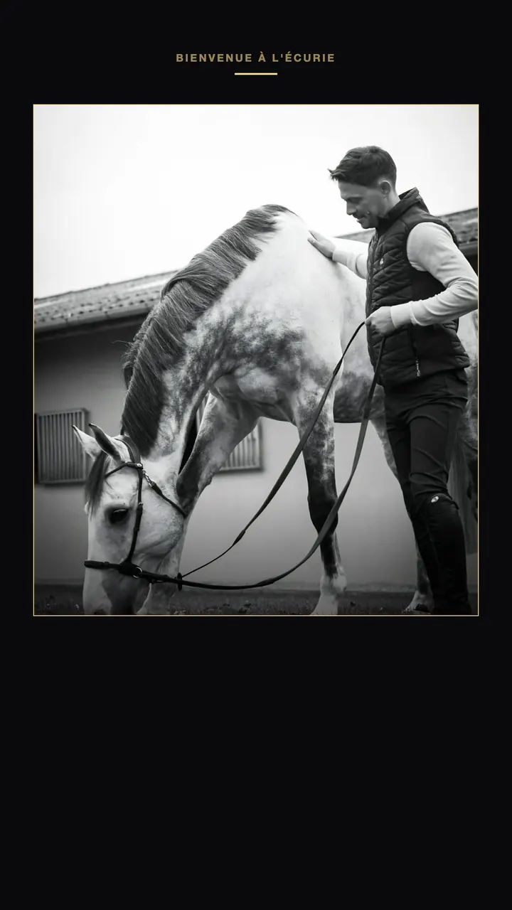 Story de présentation d'un cheval, photo en noir et blanc